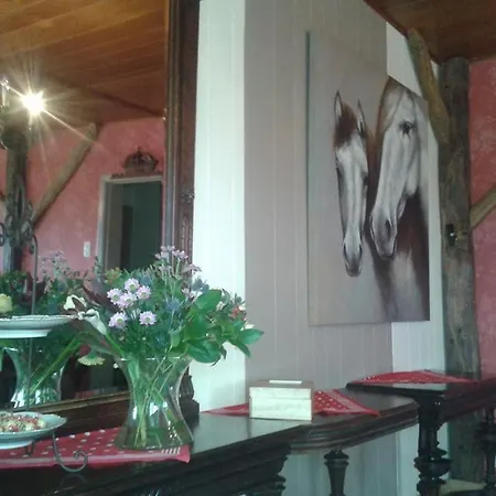 Bed & Breakfast De Blauwe Maaten