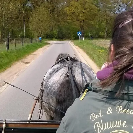 Bed & Breakfast De Blauwe Maaten Neerglabbeek