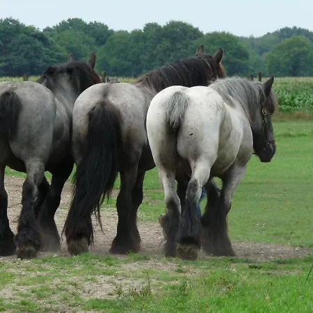 Bed & Breakfast De Blauwe Maaten